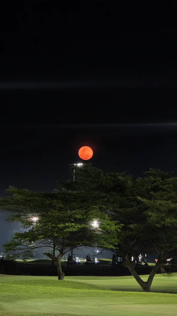 Treauther's tweet photo. A moon looks like this, I wonder what is 𝘩𝘦 doing. https://t.co/9CQ3i0DVVz