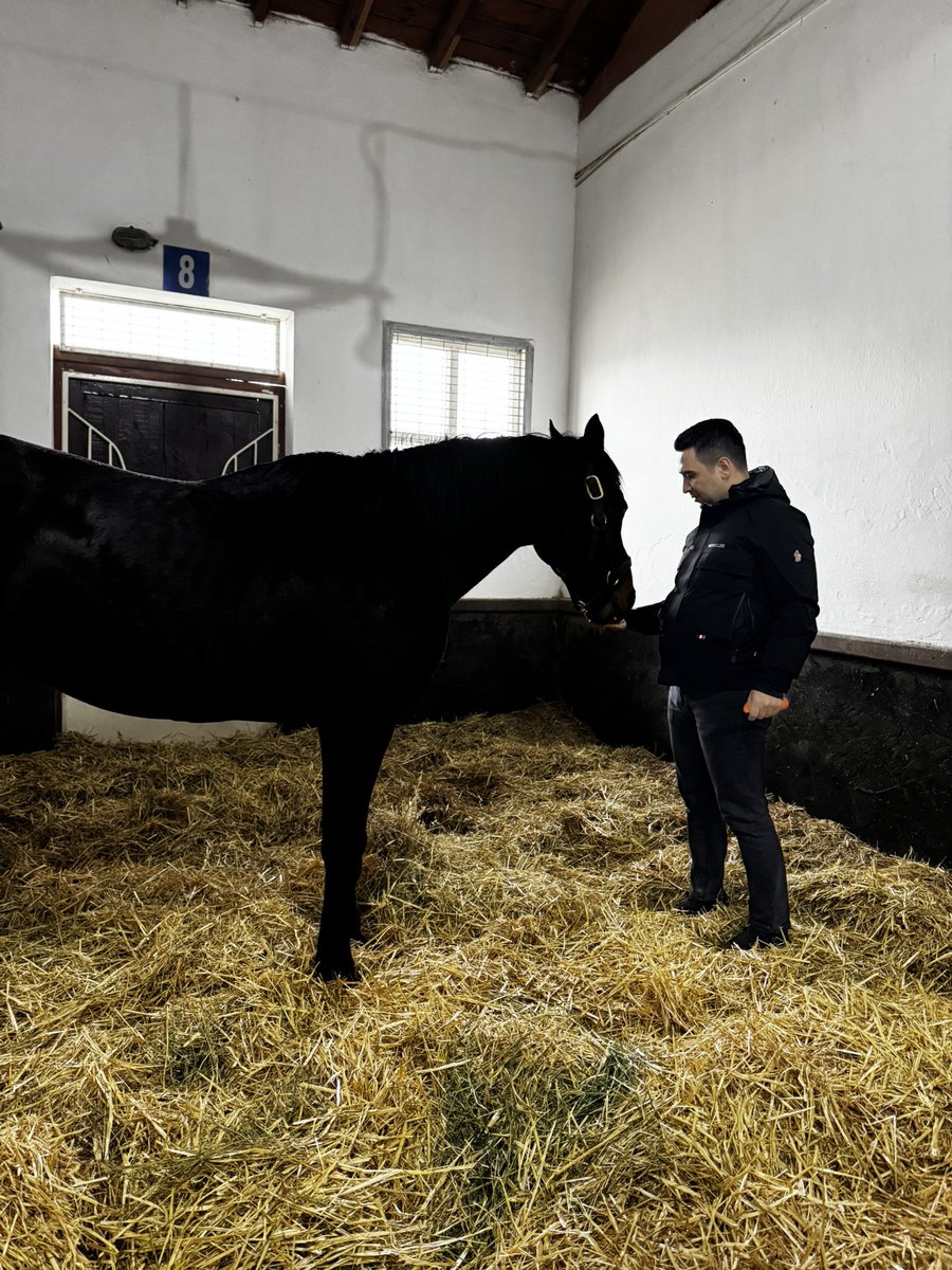 Refik Yiğit tweet media