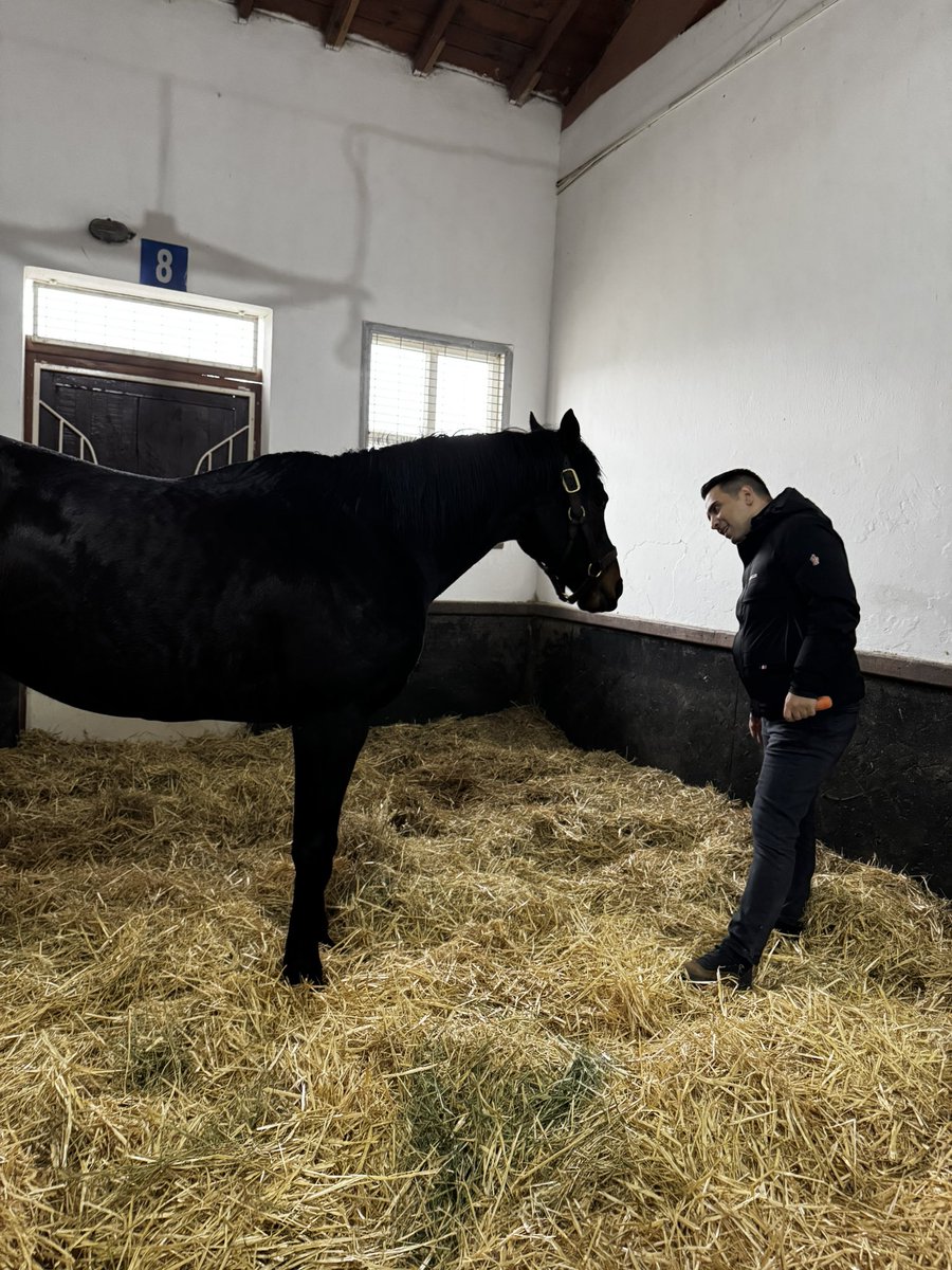 Refik Yiğit tweet media