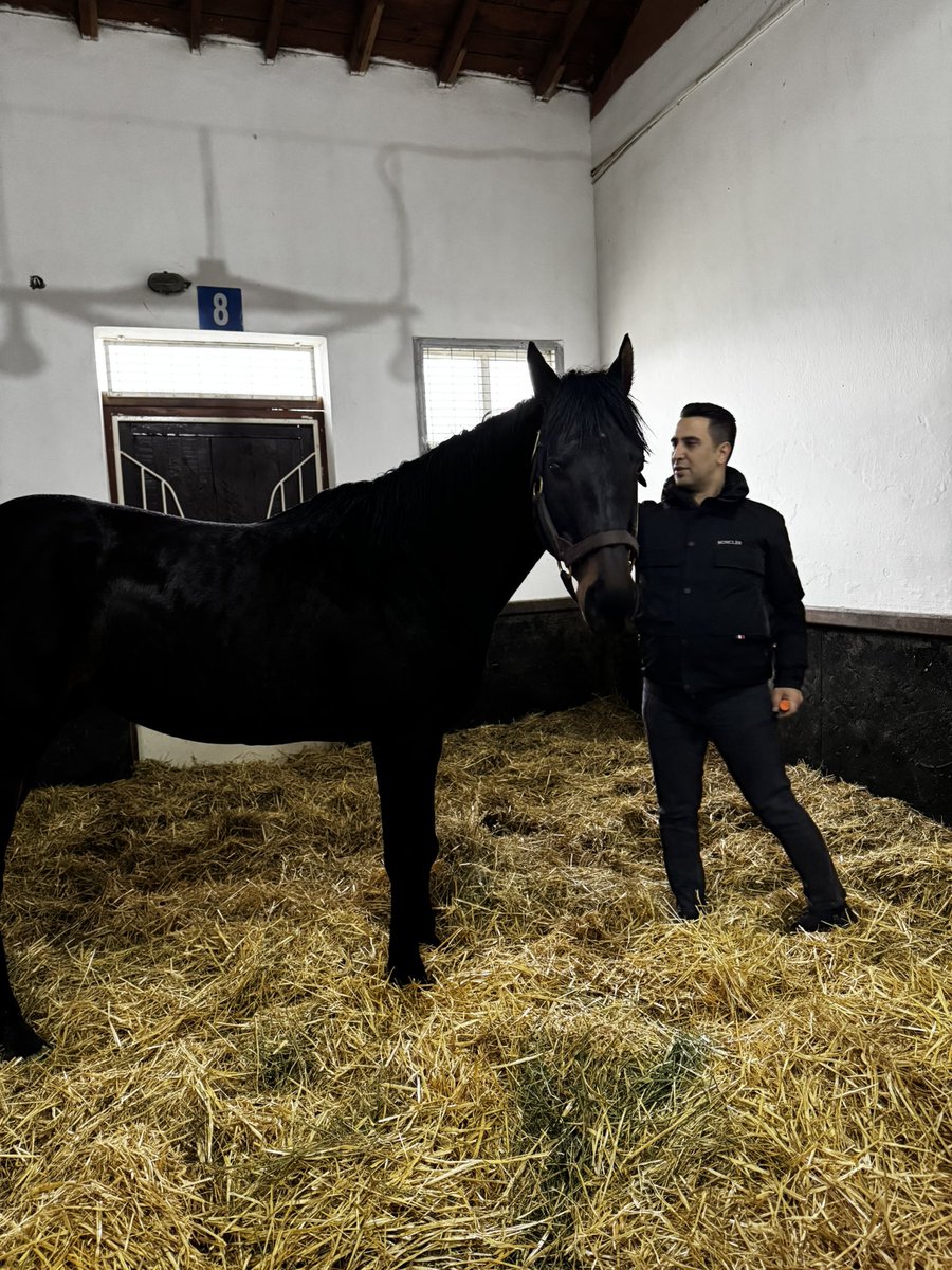 Refik Yiğit tweet media