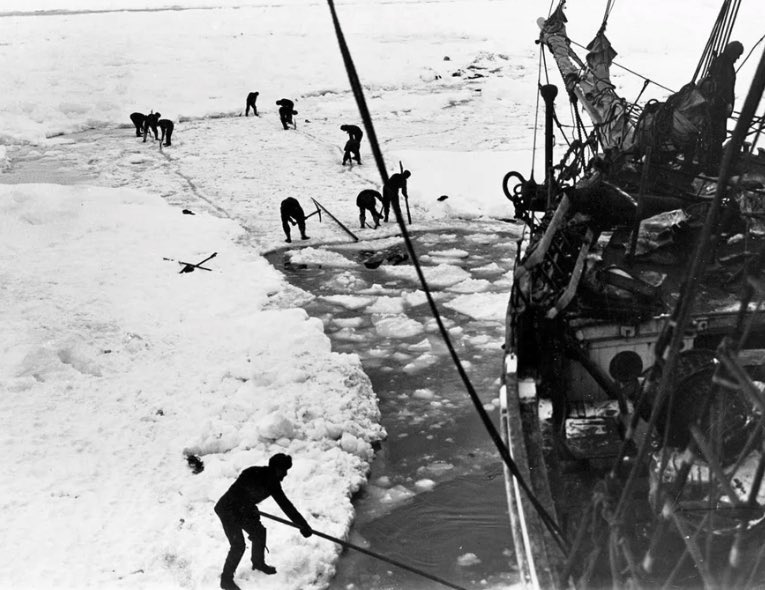 Peter B Griffiths tweet media