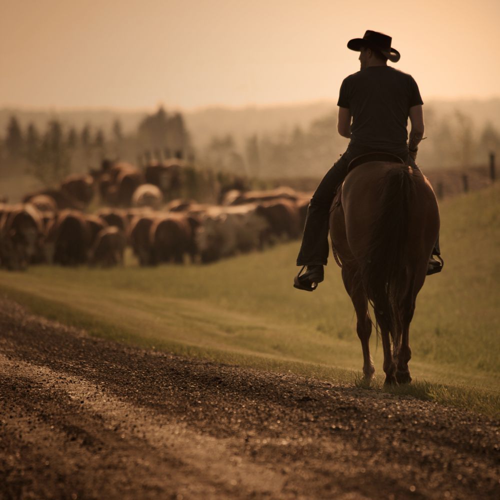 FoleyEngines's tweet photo. If maximizing uptime and making your equipment easier to manage is on your list, come find us in the Cat booth #625 at #CattleCon. https://t.co/6idw0j4gHw #BeefMeet #RanchLife #Cattle #RangeManagement https://t.co/rk5CkysSLw