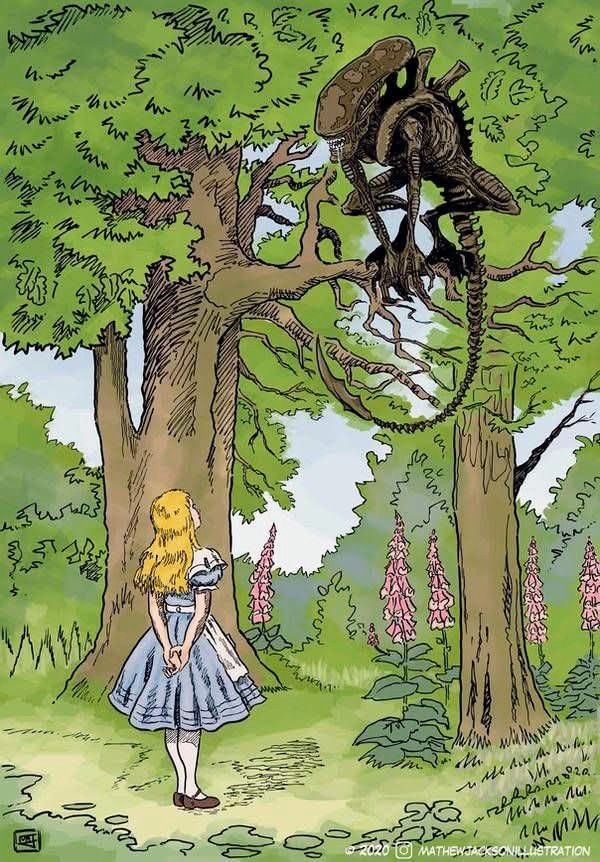 Anjelica ✨️🛸 (@cinem0rph) on Twitter photo 