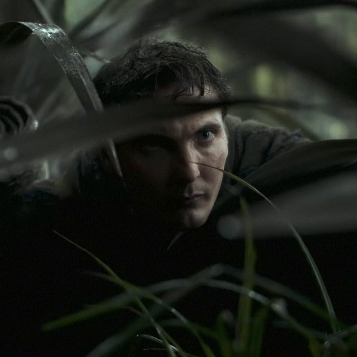 Geralt and Jaskier: Okay, there’s something picking us off one by one, nobody split from the group.

Cahir: *immediately splits from group and gets kidnapped by a monster*

Sorry, Cahir, buddy. It’s unanimous. You ARE the kaer moron.