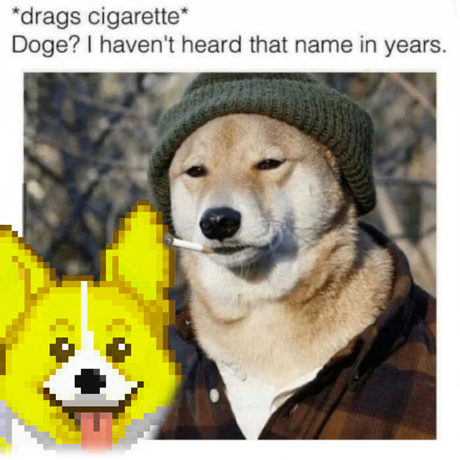 CryptoCorgis tweet media