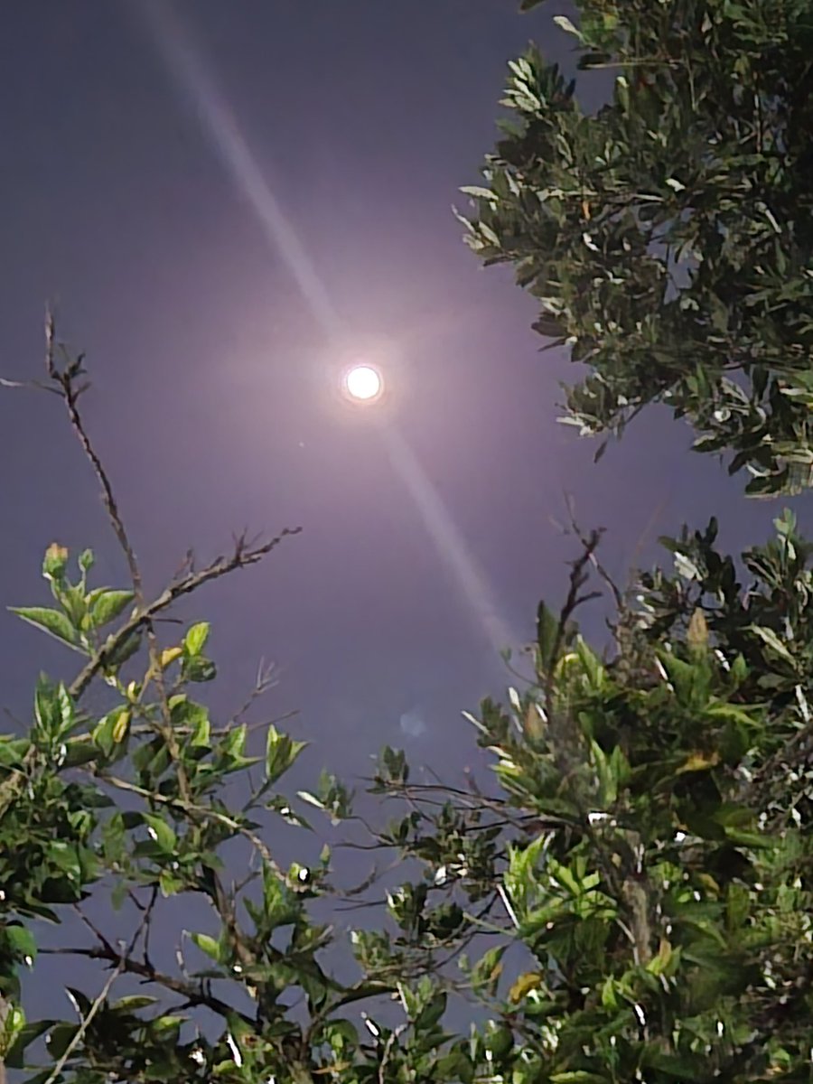 cechicg's tweet photo. My moon at 5:00 am
Doesn't it look like the sun? https://t.co/DE0aTjQAQF