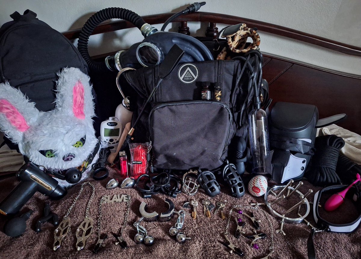 TeddyRed tweet media