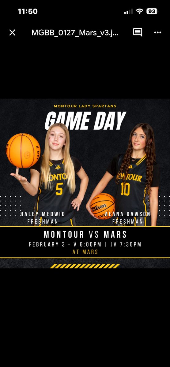 Montour Girls Basketball tweet media