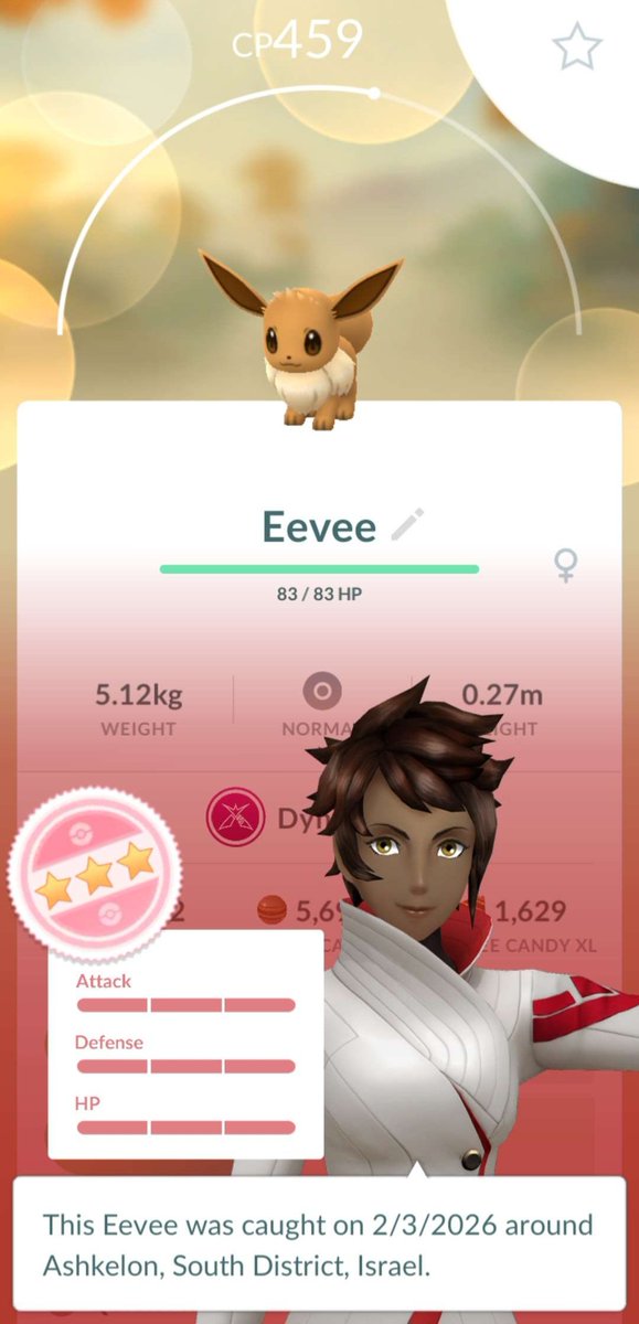 Stav Stavit tweet media