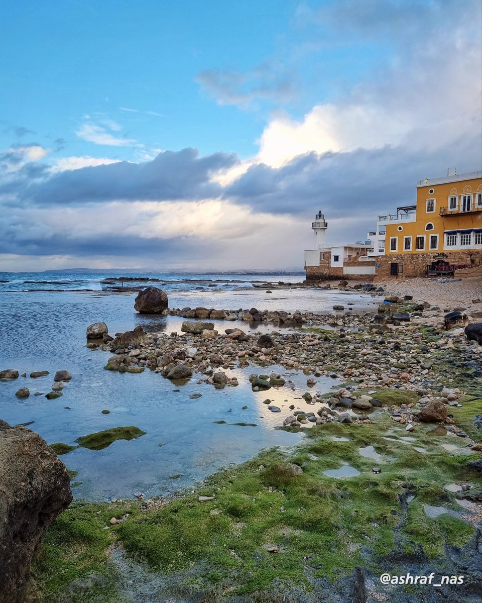 Ashraf Nasrallah tweet media