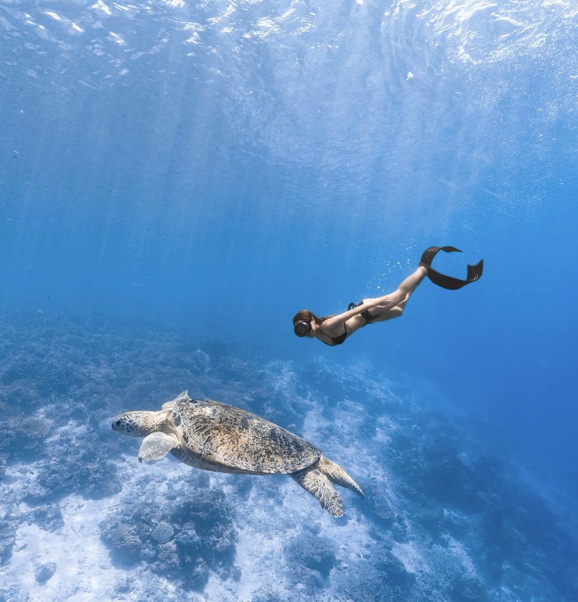 Dr.Crypto X tweet media