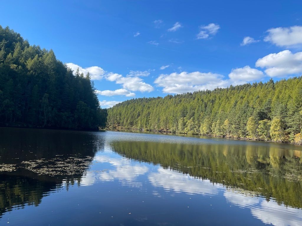 Some guests come for whisky, others for castles, coastlines, or quiet walks.
What would be your main reason for visiting the Highlands?

#HighlandsOfScotland #TravelChoices