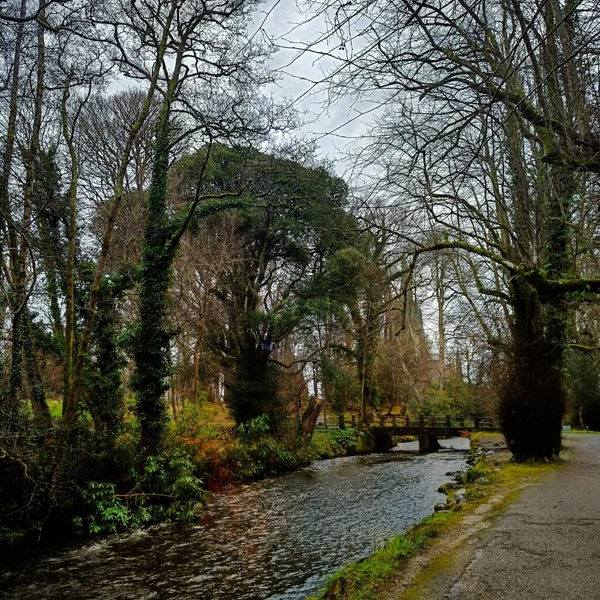 DestinationKillarney tweet media