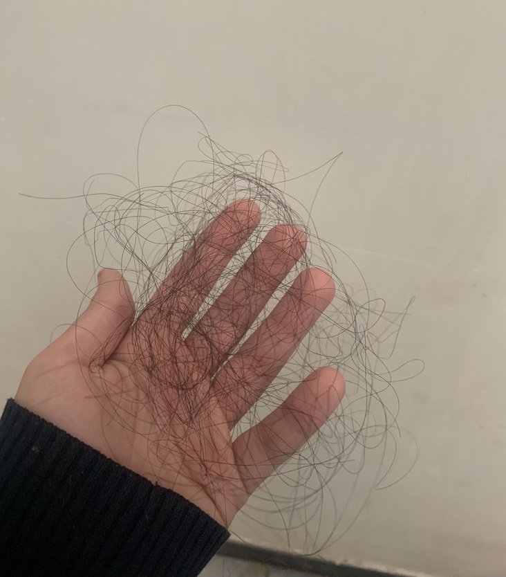 𝑴𝒂𝒉𝒚𝒂𝒓 tweet media