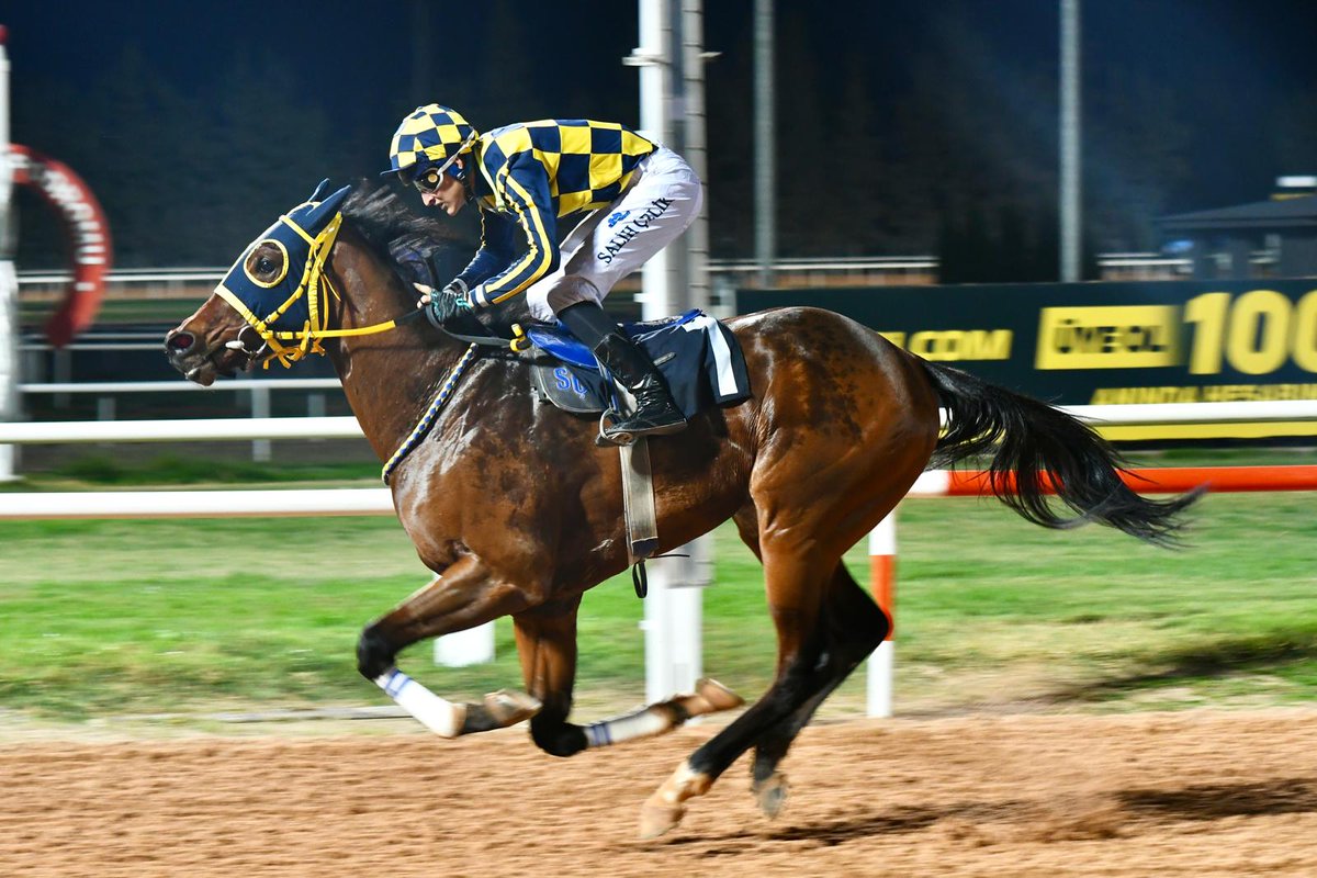 Gıralamo yarış hayatına güzel bir birincilikle başladı nice birincilikler dileğiyle
Bayır efemiz güzel bir ikincilikle bitirdi çok daha güzel birincilikler dileğiyle  başta değrli hocamız Erdal öztürk değerli sahiplerine ve ekibimize hayırlı olsun ❤️🙏