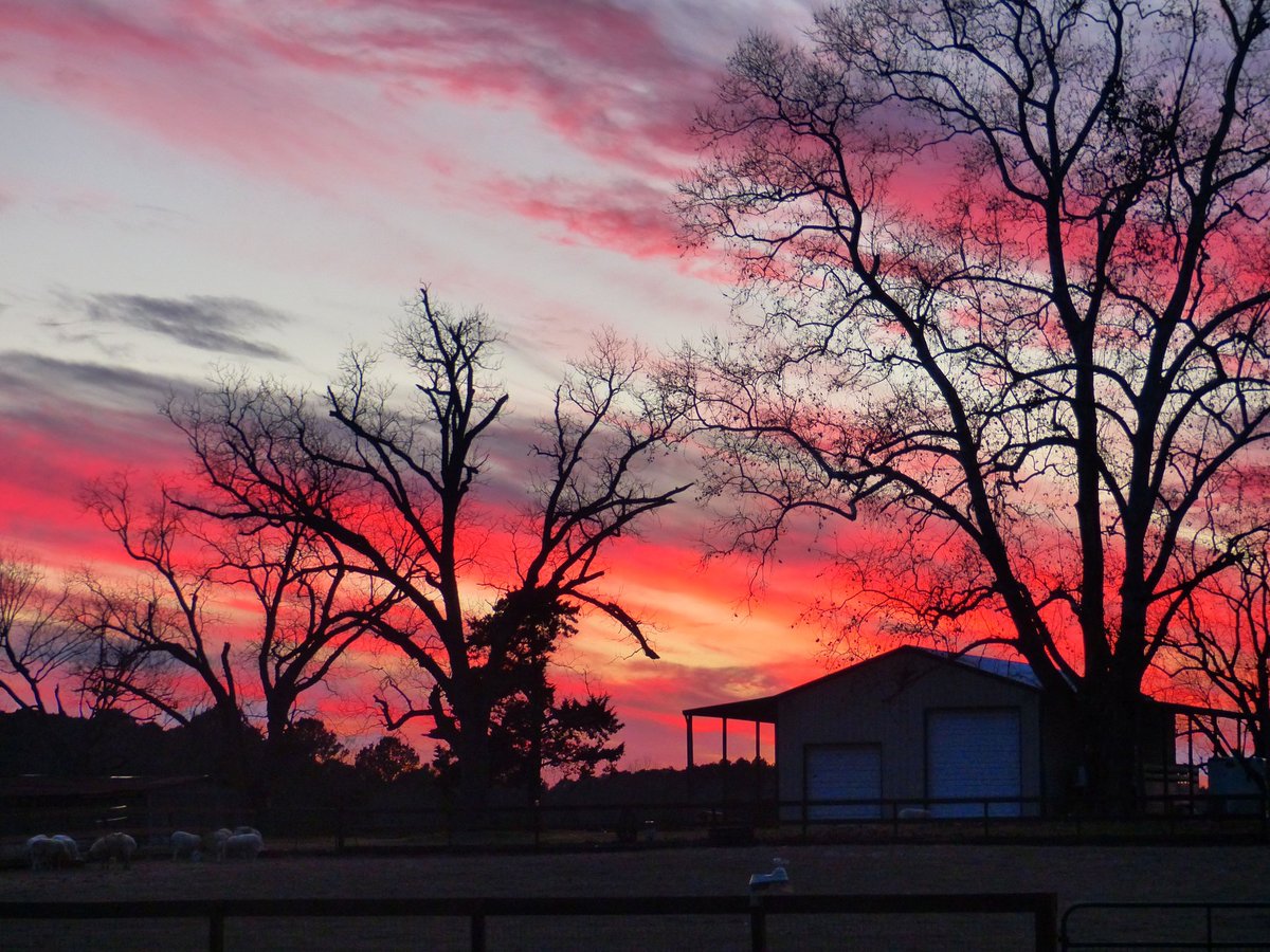 Marlene M. Bell tweet media