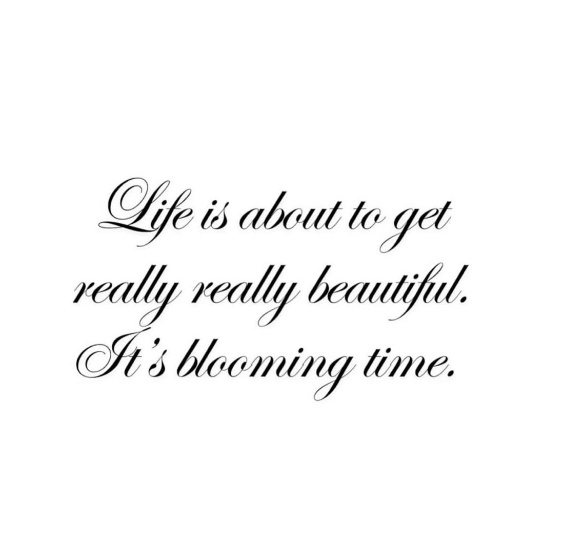 the culture | magazine tweet media