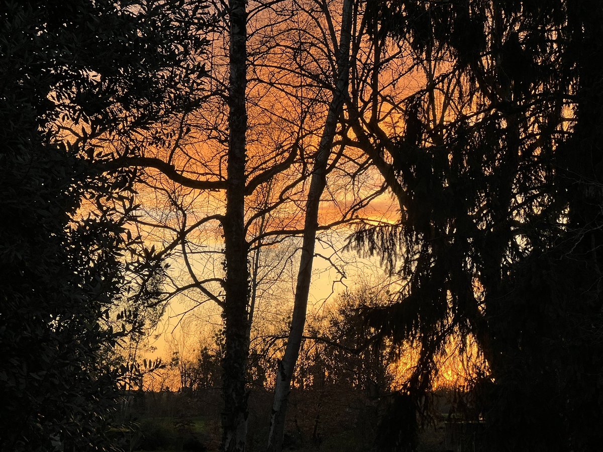 Frédéric Manfrin tweet media