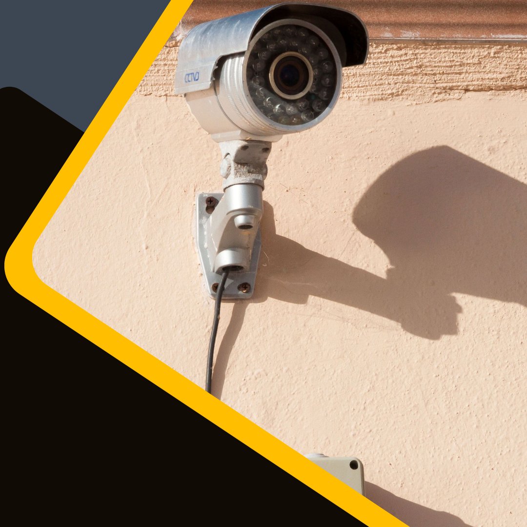 Inglorious Protection Services tweet media