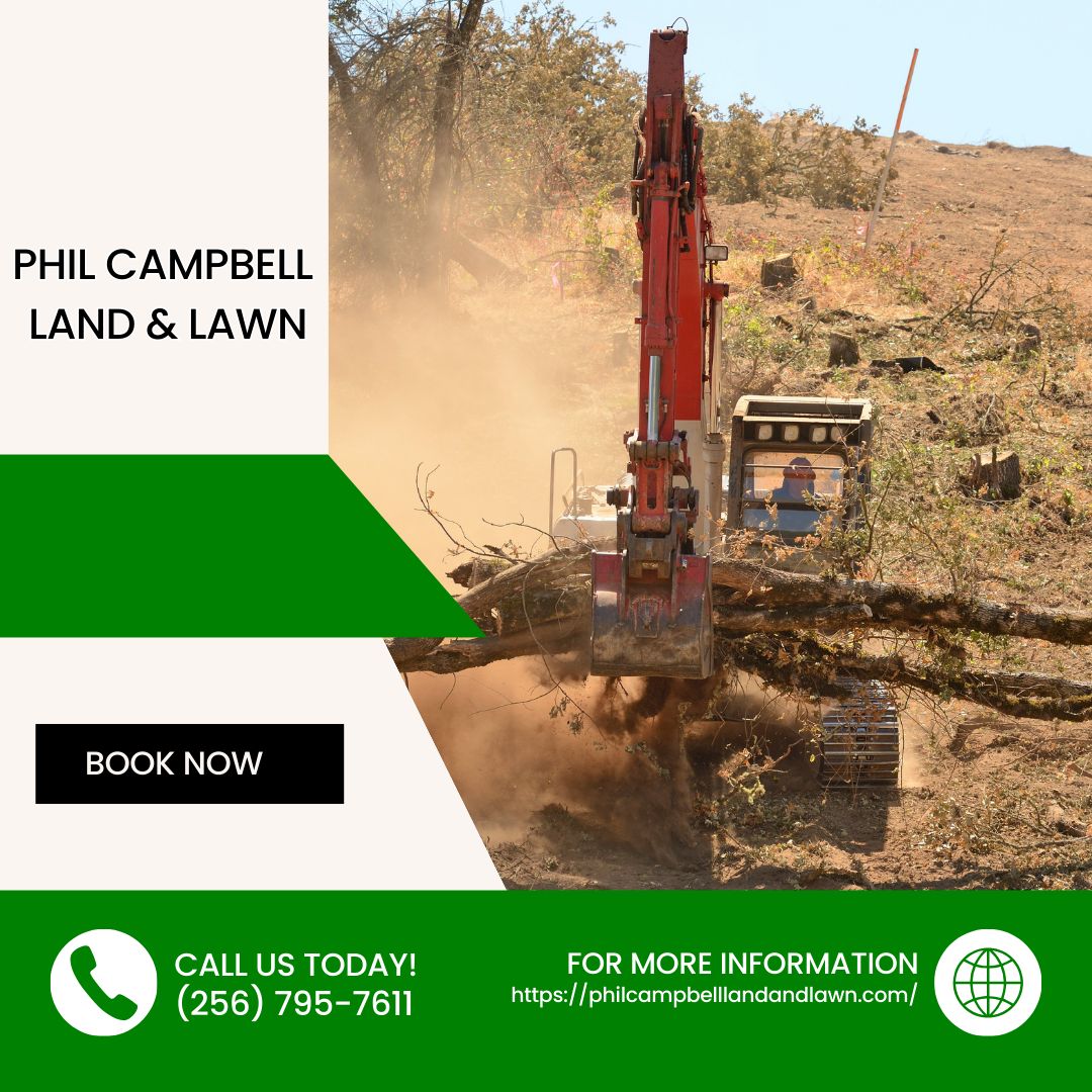 Every solid project starts from the ground up. Our dirt work helps prepare the land for improved drainage, stronger structures, and long-term use. Call us today.
#DirtWork
philcampbelllandandlawn.com/dirt-work