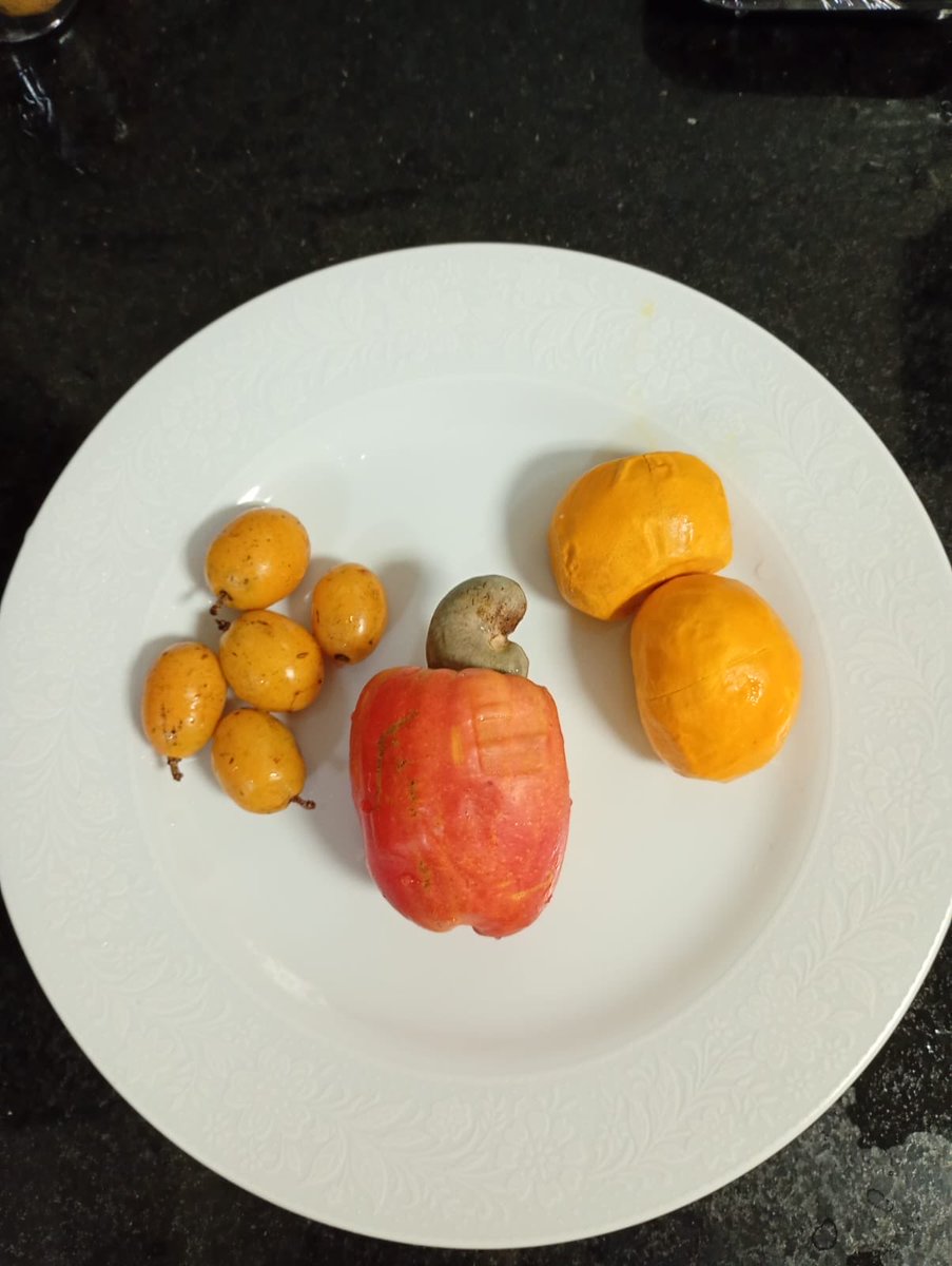 Gabriela Liberato tweet media