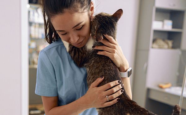 For over 30 years, Hill's has gone beyond nutrition to support your commitment by offering programs and resources tailored to your needs. veterinarypracticenews.ca/complete-balan…