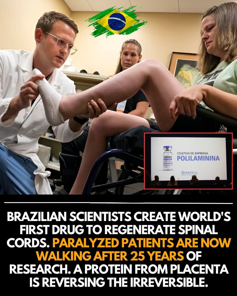Brazilian researchers have spent decades studying how certain placenta-derived proteins influence nerve regeneration, and their breakthrough drug is now showing unprecedented results. Early trial participants with severe spinal cord injuries have regained sensation, muscle