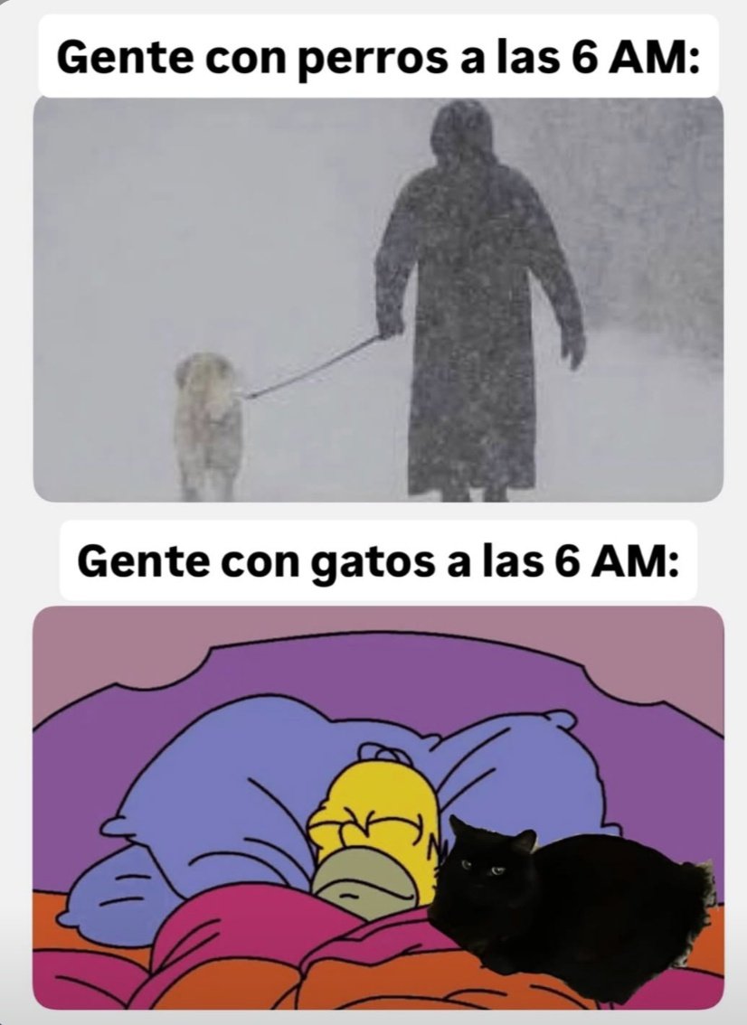 Ana_LaPatata (@ymuchosmemes) on Twitter photo 