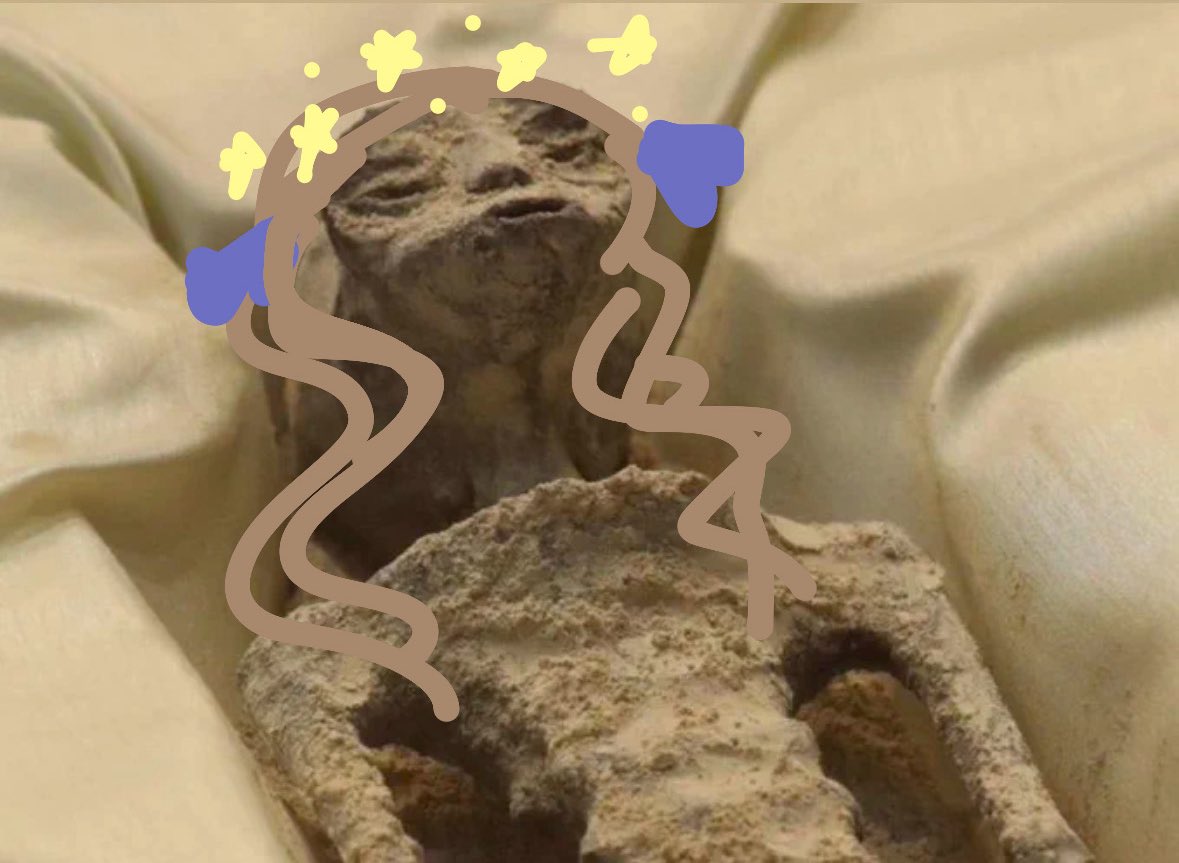 stargirl 💫 tweet media