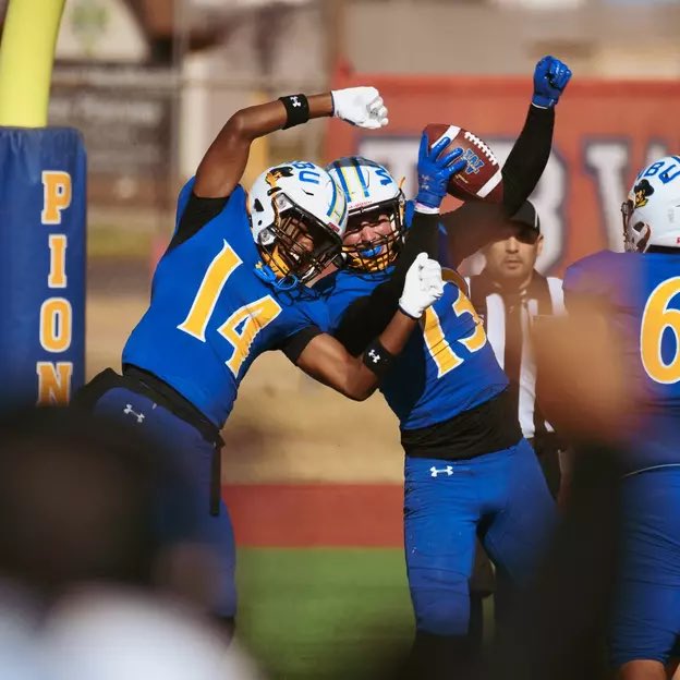 Kaden(KADO)Castille tweet media