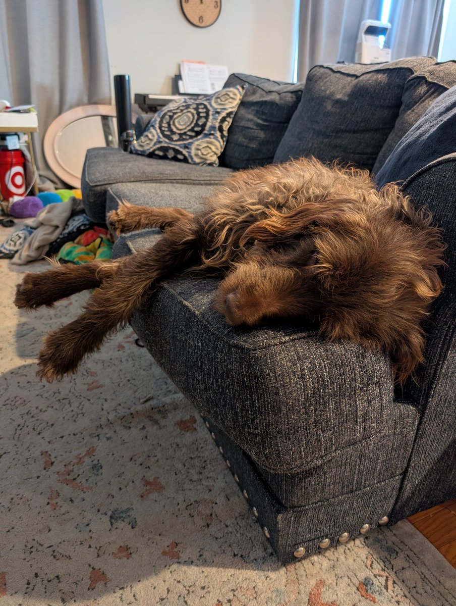 Scott Bradford is getting published! *querying too tweet media