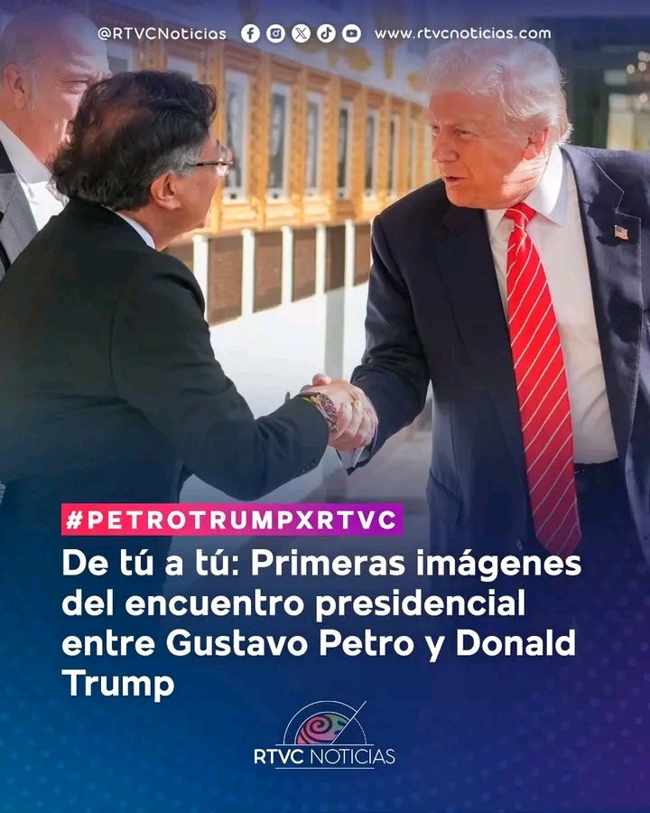 Ave Fénix tweet media