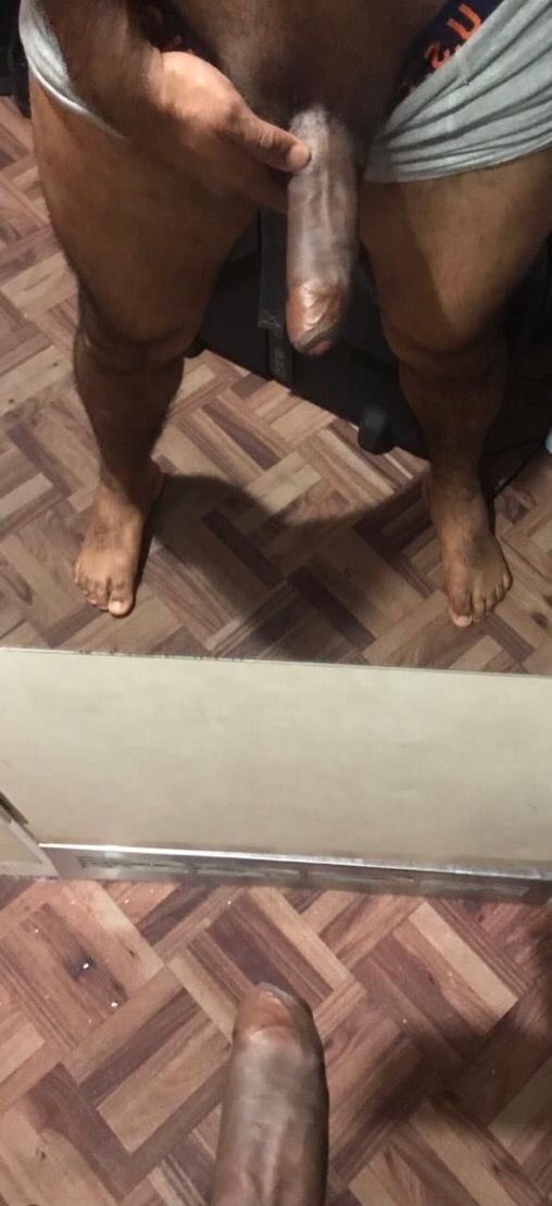 Bull Dominic - SDC:DOMINICMEXICAN tweet media