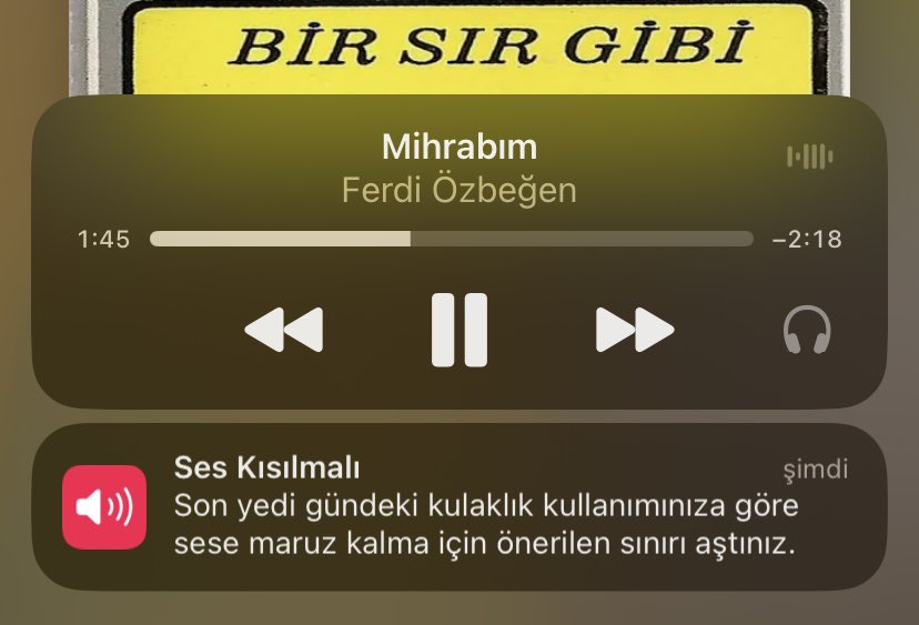 hayır kısılamaz. keşke bir yerden üçüncü kulağım da çıksa