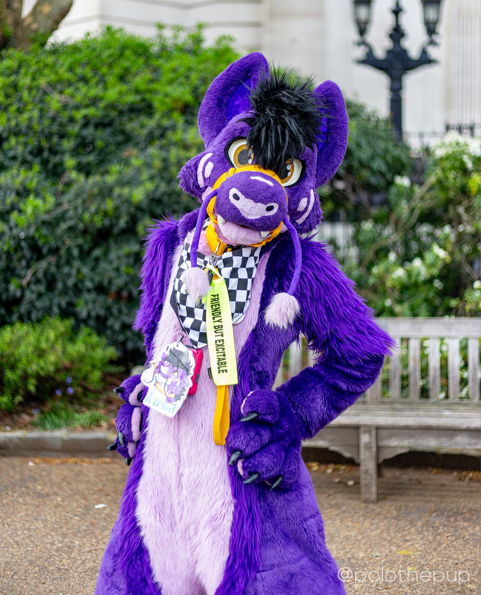 Kypari Noodl 💜 tweet media