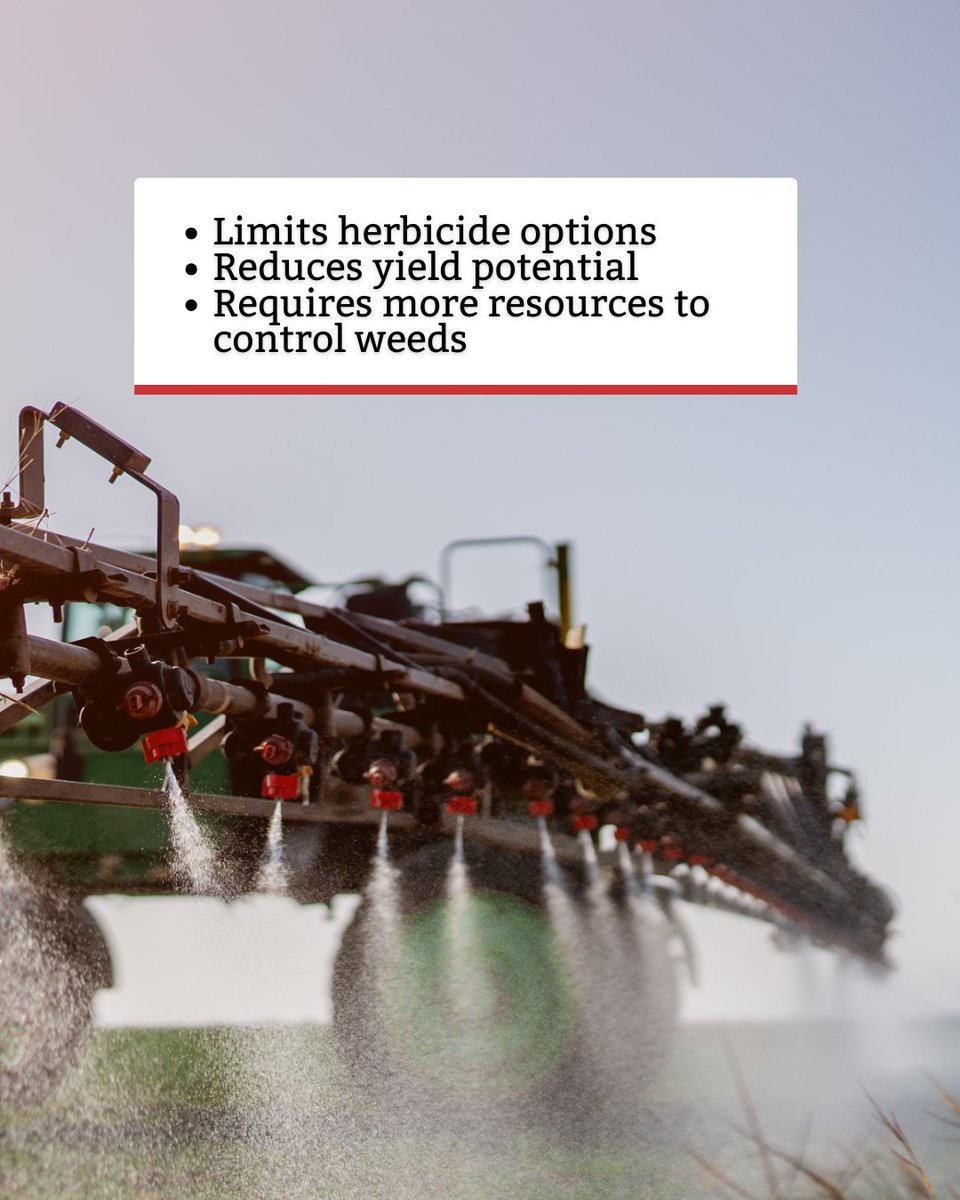 Redfern Farm Services Ltd. tweet media