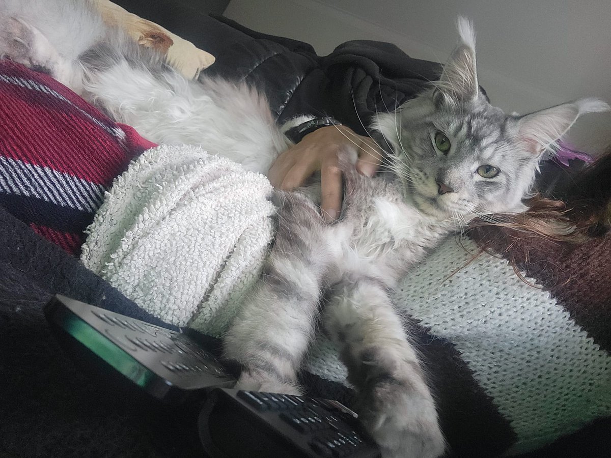 O Sky está revoltado porque estamos há 6 horas sem luz e hoje joga o Arsenal.

Também porque a fonte dele não funciona.