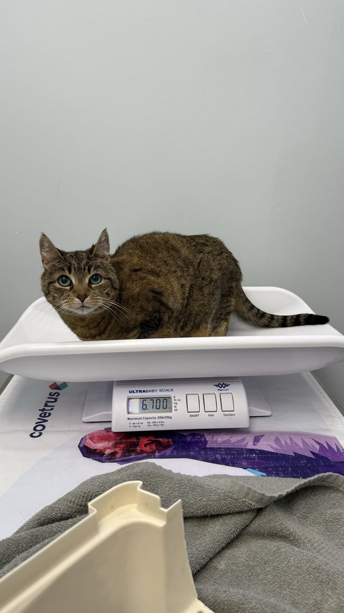 i’m still six seven