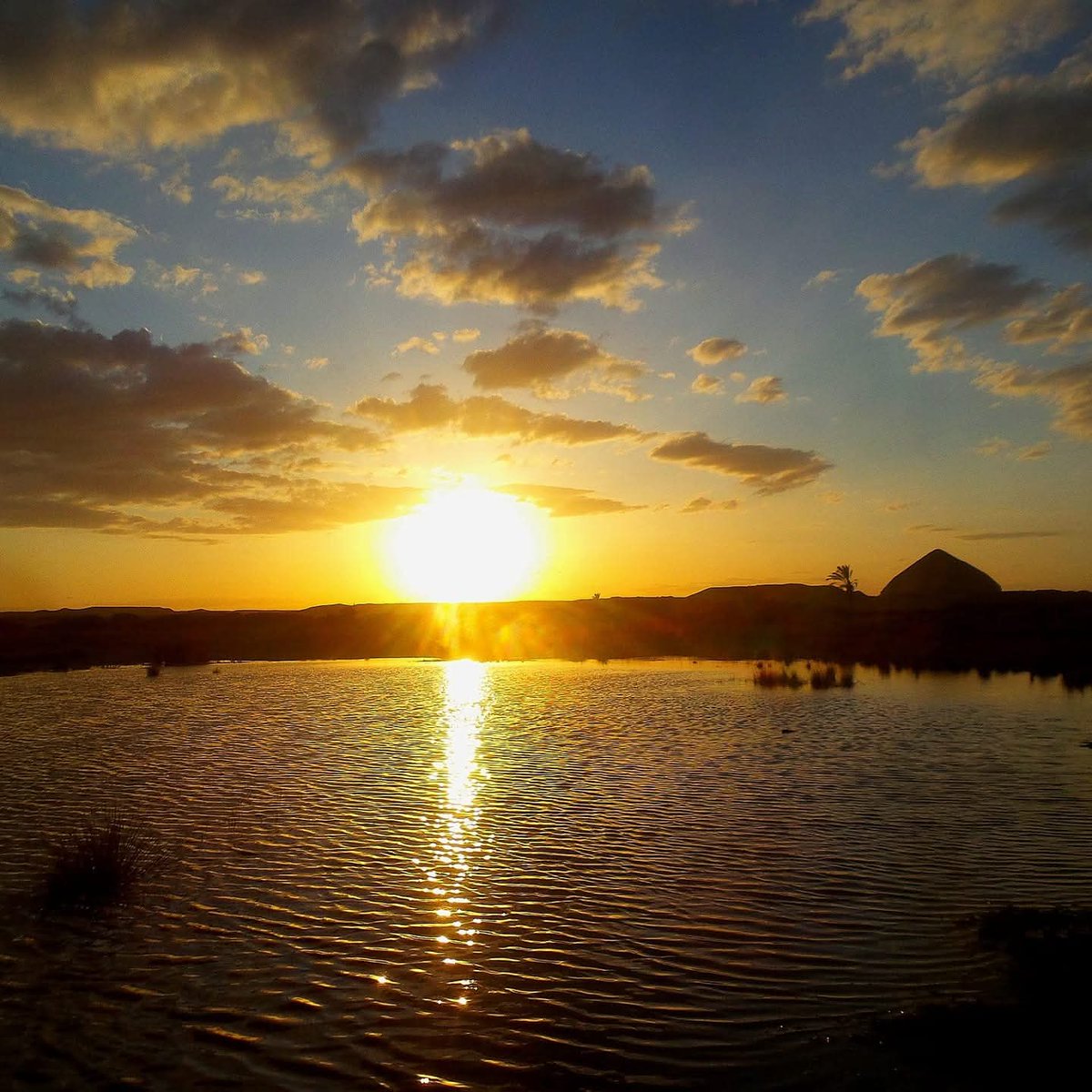 فوتغرافي📸 tweet media