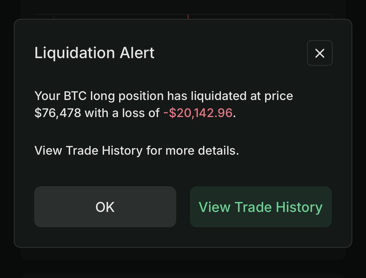 K A L E O tweet media