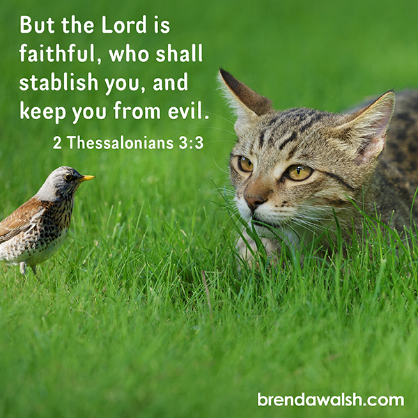 brendakwalsh's tweet photo. Today's Daily Scripture Picture: Strength & Shield
2 Thessalonians 3:3 – “But the Lord is faithful, who shall establish you, and keep you from evil.”
#scripture #Christianity #verse #verseoftheday #bibleverse #bibletext #biblestudy #faithful #shield #guard #protect #foundation https://t.co/kQjcd5SXnD