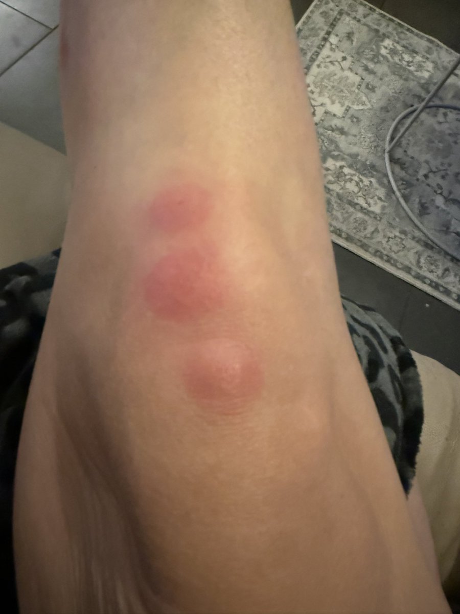 Nicola K tweet media