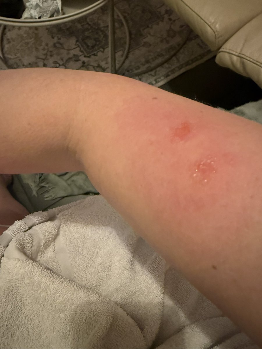 Nicola K tweet media