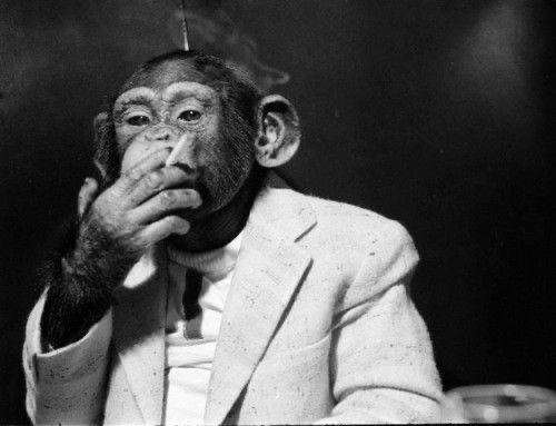 OneShots tweet media