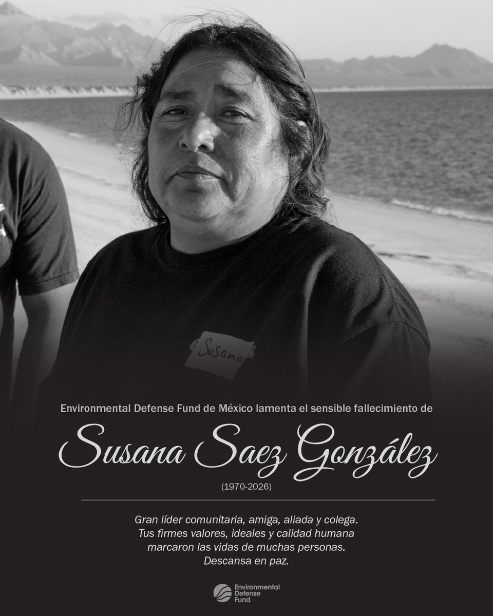 EDF en Español tweet media