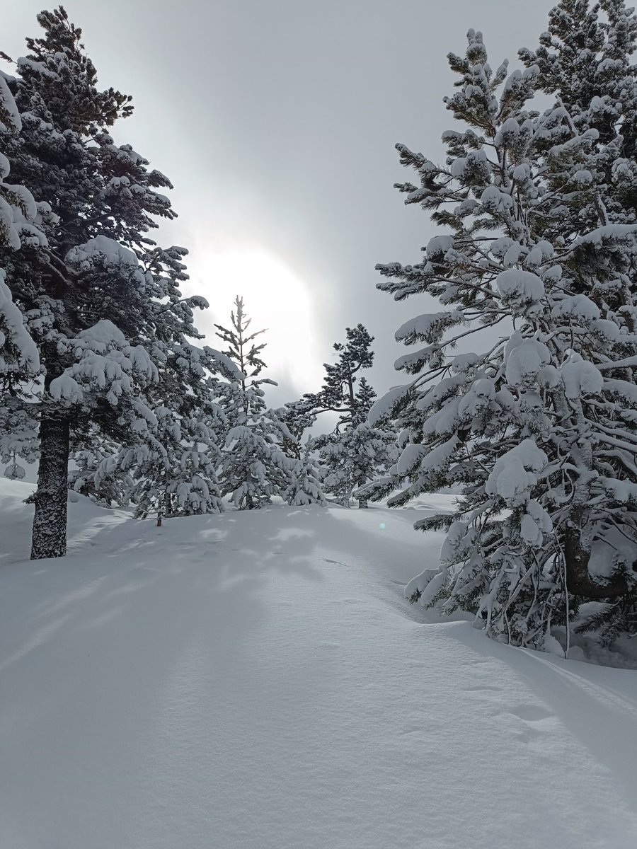 Carla krlita tweet media