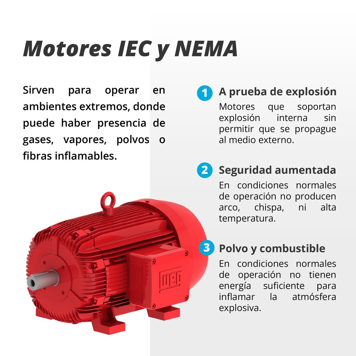 Colsein SAS tweet media