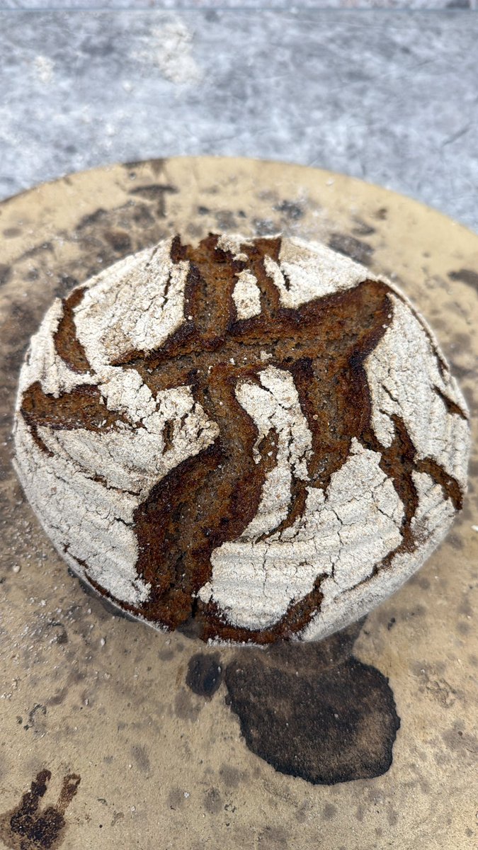 FutureAlex's tweet image. Glaube das ist nix geworden. Lasse es noch abkühlen und dann kommt Stunde der Wahrheit