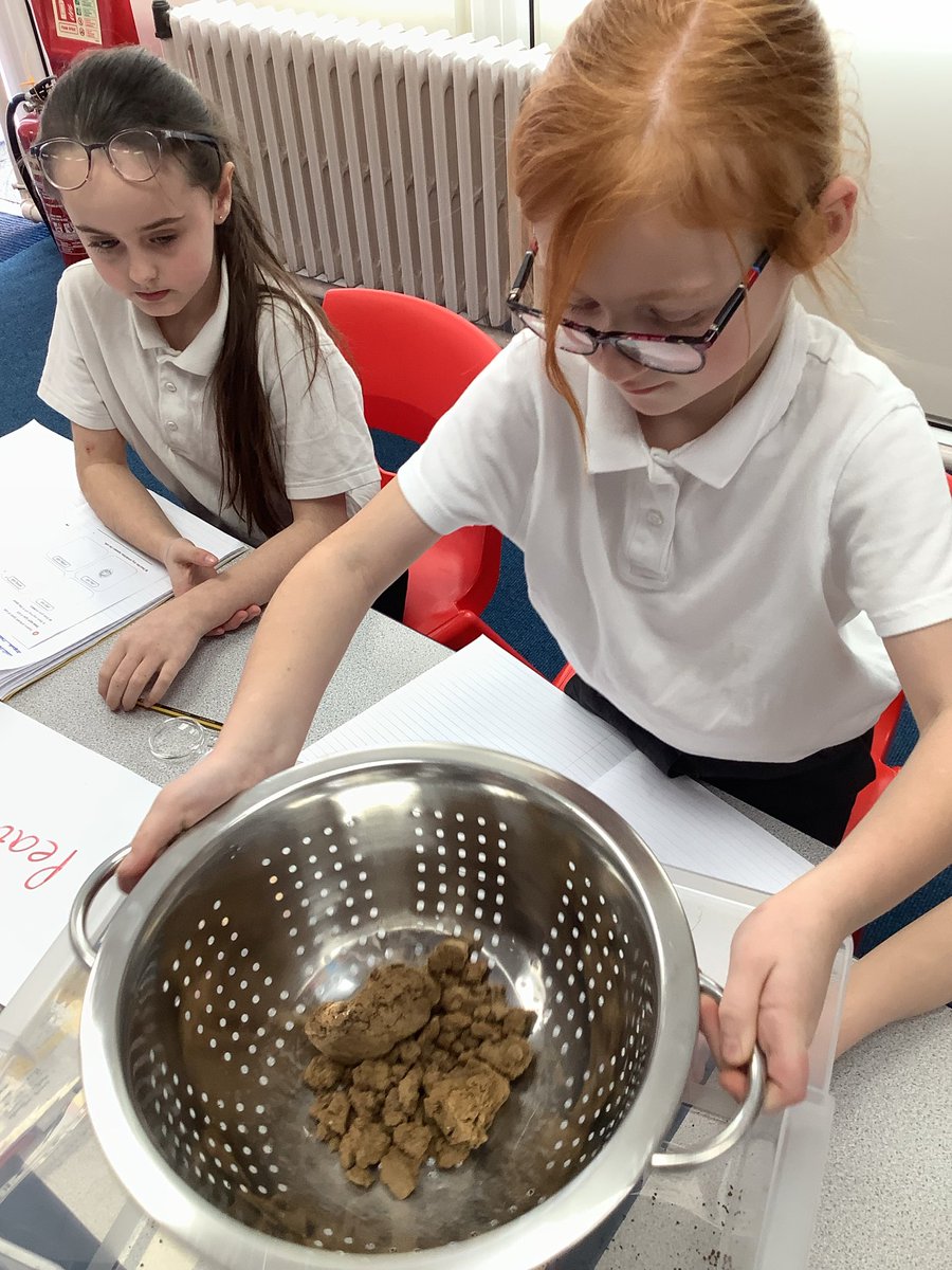 In Science, we’ve investigated different types of soil🔍