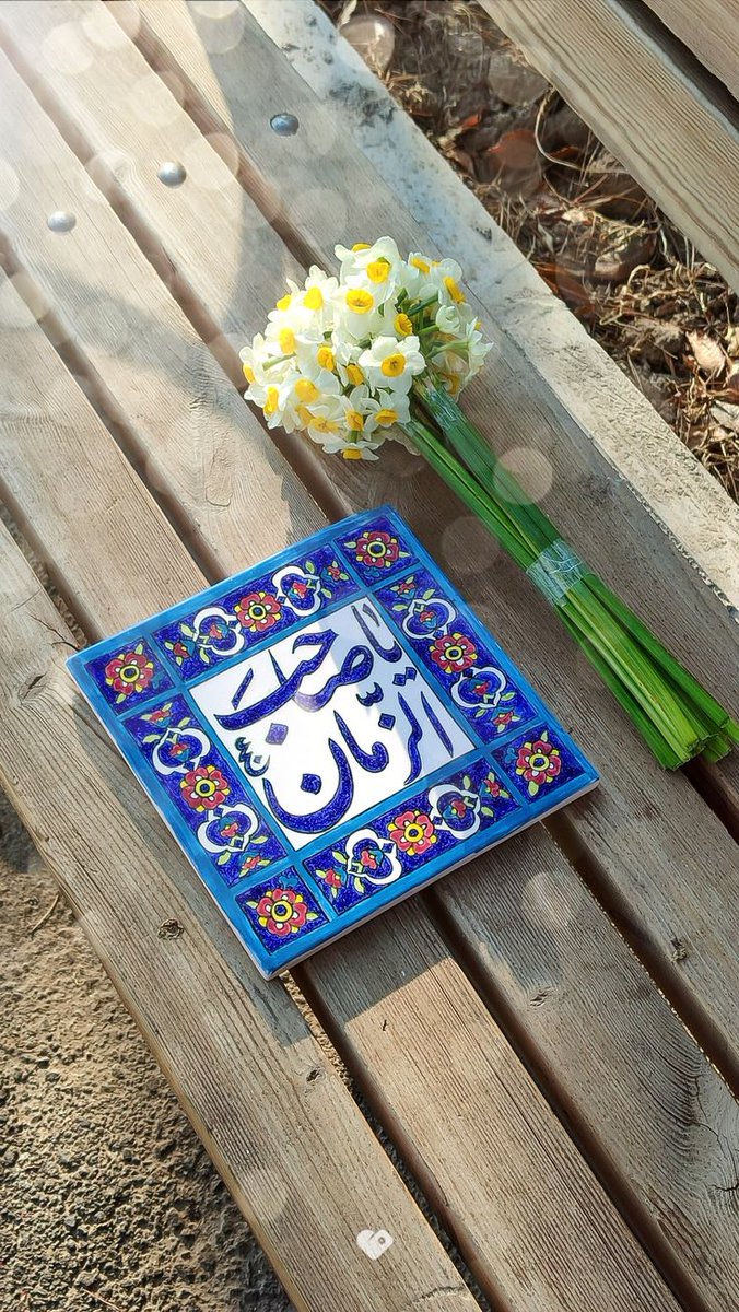 Mohammad tweet media